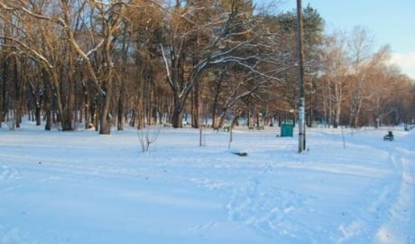 Primăria Chişinău a obţinut câştig de cauză în judecată împotriva Asociaţiei obşteşti Clubul sportiv „Phoenix”, organizaţie care a devenit proprietara a 4,3 hectare de teren în Parcul Valea Trandafirilor. 