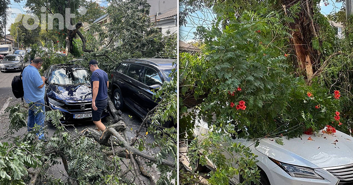 Un copac căzut a avariat cel puțin patru mașini în Capitală.