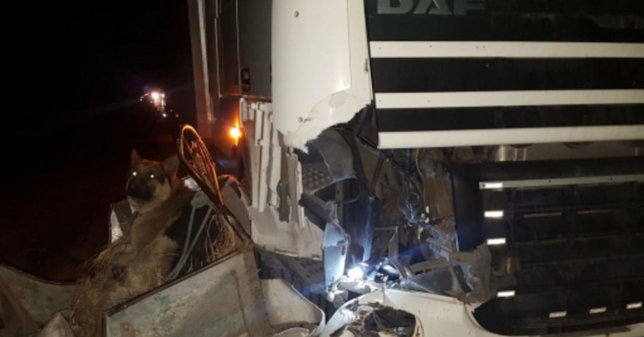 O căruță, spulberată de un camion la Comrat: Căruțașul și calul au murit pe loc.