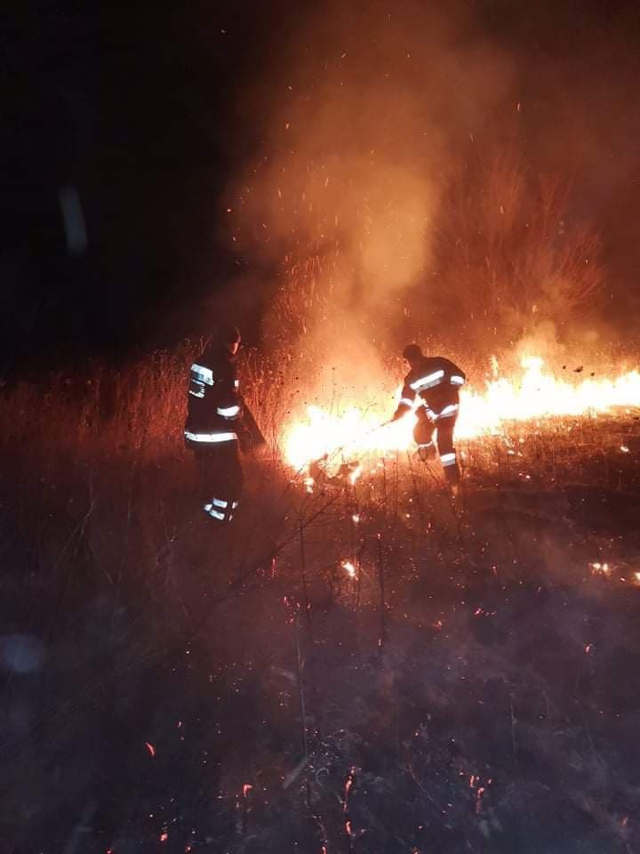 За ночь пожарные потушили 40 очагов возгорания: горела сухая растительность.