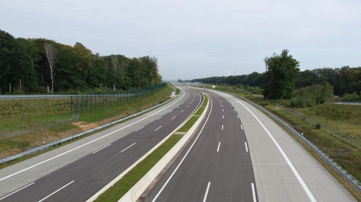 În Germania a început sezonul migraţiei broaştelor. 