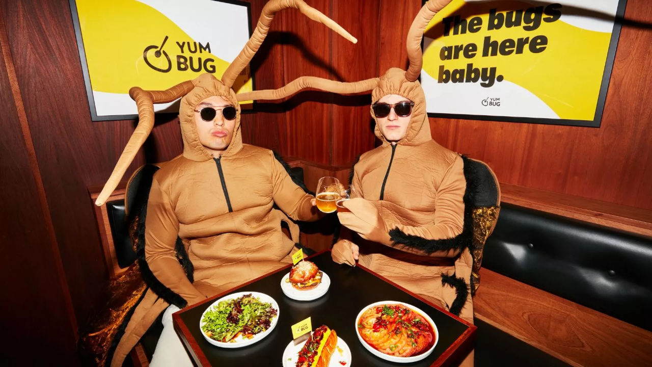 Primul restaurant din lume cu bucate din insecte s-a deschis la Londra.