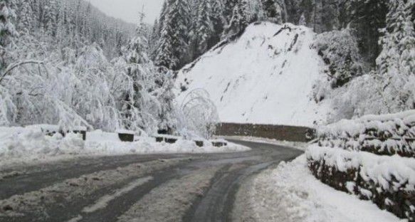 Vremea va intra într-un proces de încălzire în următoarele două săptămâni. 