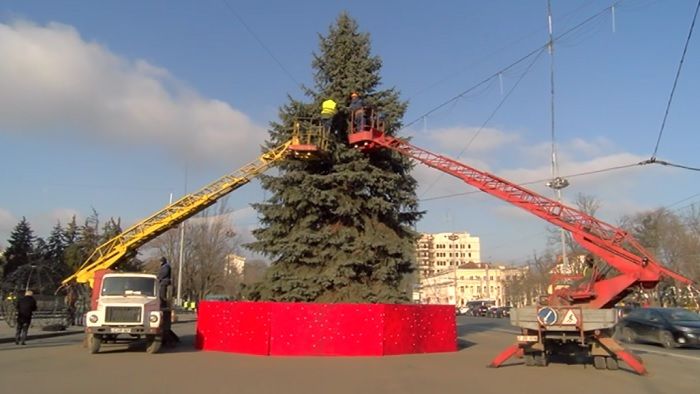  Сегодня утром, власти завили, что дерево будет демонтировано.