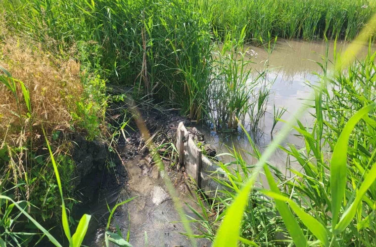 Незаконное вмешательство в русло реки на юге Молдовы обернулось штрафом.