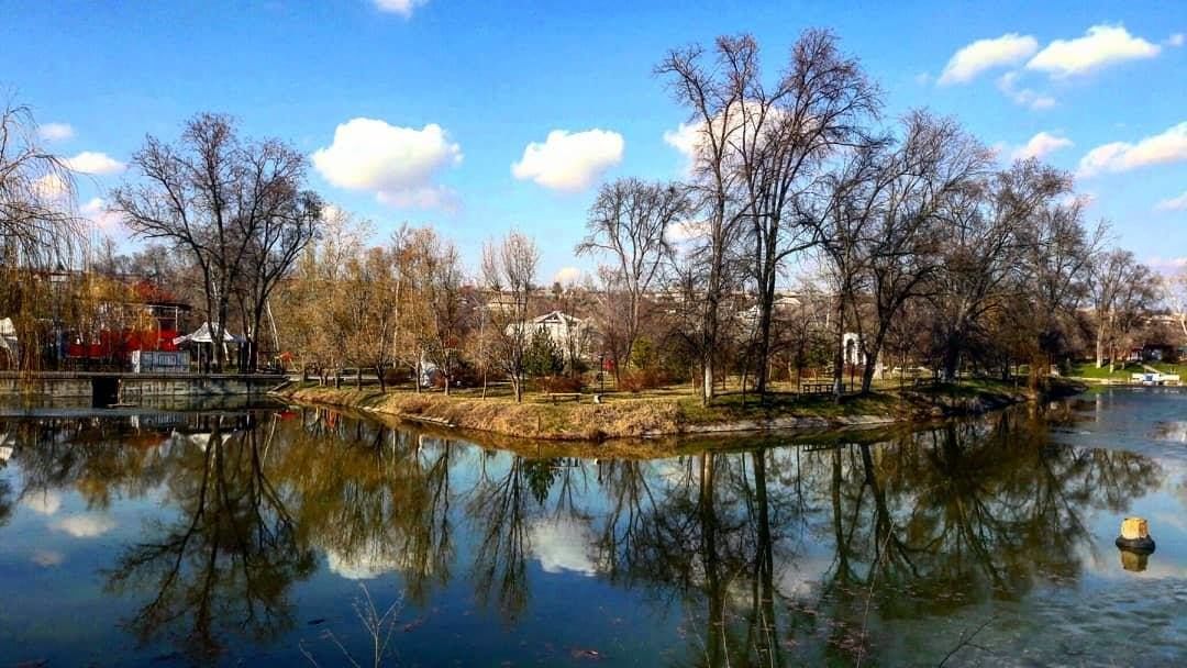 В городском пруду Тараклии запрещено купание из-за опасной инфекции.