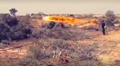 Египетские военные сожгли советскими огнеметами кусты боевиков ИГ.
