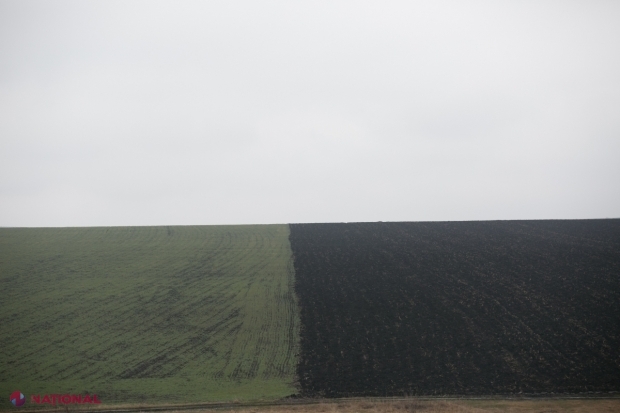 Printre imobilele nedeclarate se numără două terenuri pentru construcții, două case de locuit, trei construcții accesorii și 77 de terenuri agricole.