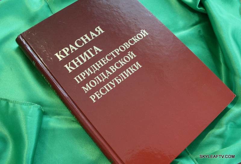 Минсельхозприроды подготовит к изданию новую редакцию Красной книги.