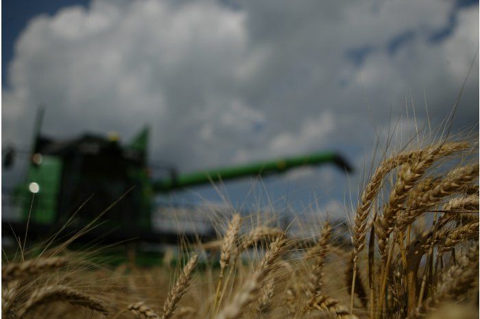 В Молдове собрали примерно 45% урожая пшеницы и 90% ячменя.