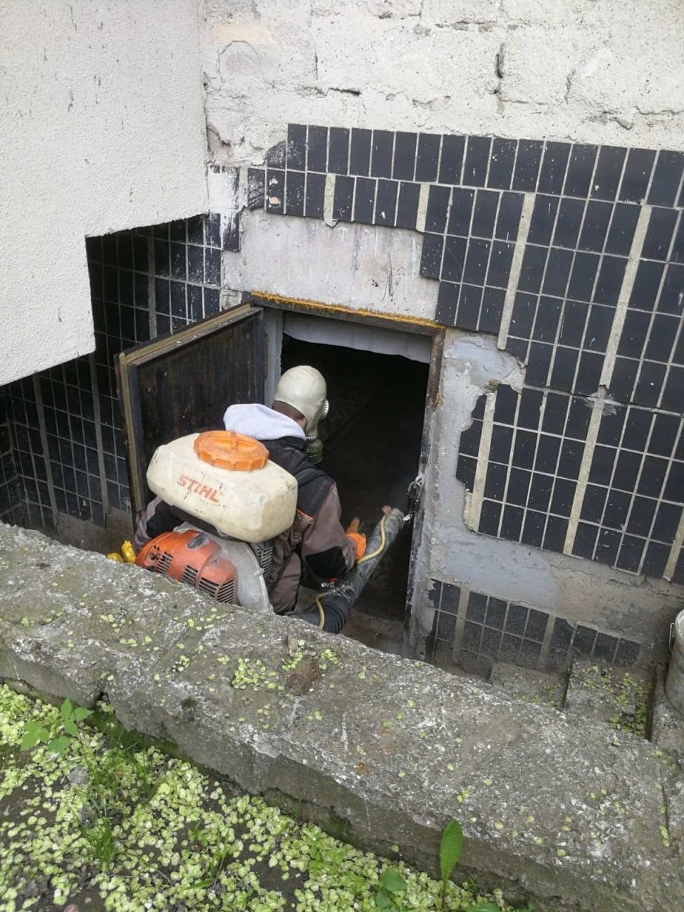 В подвалах 1200 домов проведены дератизационные и дезинсекционные работы.