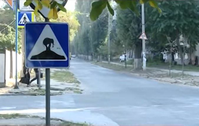 В Кишиневе на дорожный знак неизвестные наклеили изображение слона.