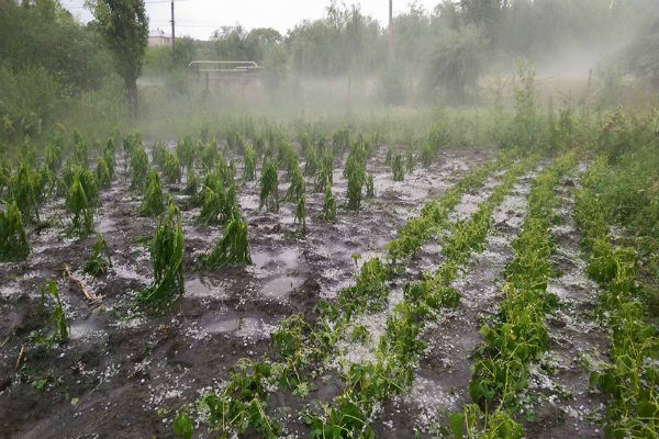 Mai multe localităţi din ţară au fost afectate de ploile torenţiale care au căzut sâmbătă, 28 mai.