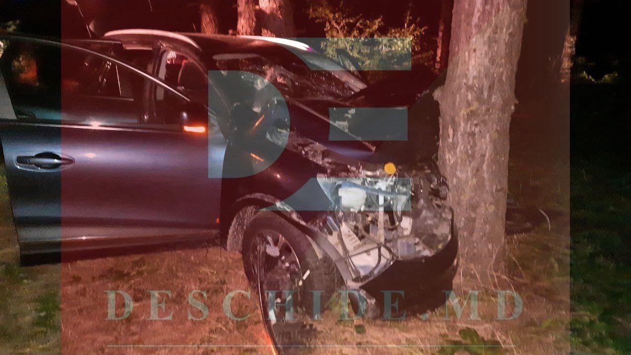 В Новых Аненах автомобиль врезался в дерево: госпитализированы 2 человека.