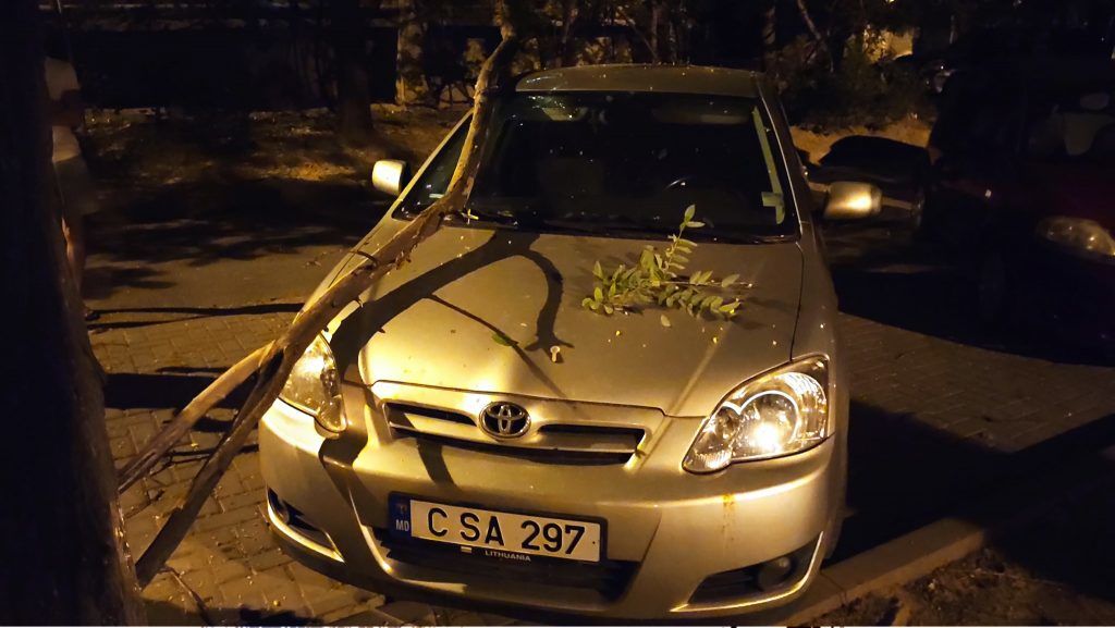 В столице упавшая ветка повредила автомобиль.