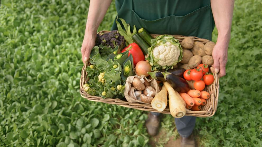 R.Moldova ar putea exporta produse ecologice. 