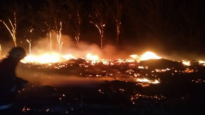 Новое возгорание произошло у кладбища Святого Лазаря в Кишиневе.