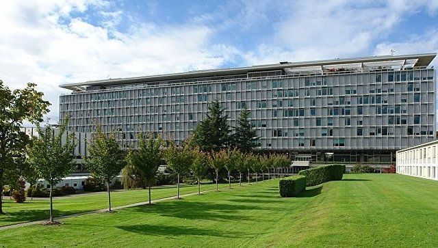 В ВОЗ рассказали о рекорде в лечении гепатита С. Фото: Wikipedia/Yann Forget