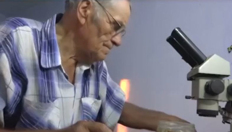 Энтомолог Ион Кирияк рассказал, чем полезны паразиты.
