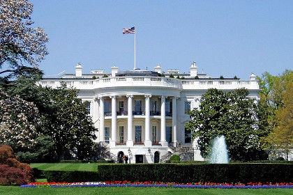 В США начали прорабатывать возможность нанесения ударов по войскам Асада.