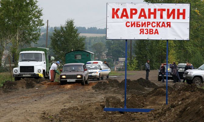 Начались работы по локализации очага заболевания.