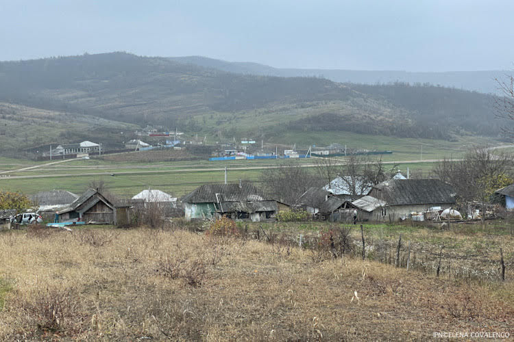 Местные власти не могут самостоятельно решать проблемы.