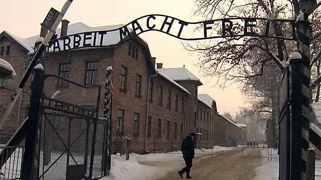 Двое британцев были задержаны по подозрению в краже экспонатов Освенцима.