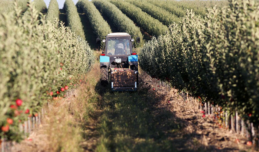 Кредиты аграриям по проектам IFAD станут дешевле.