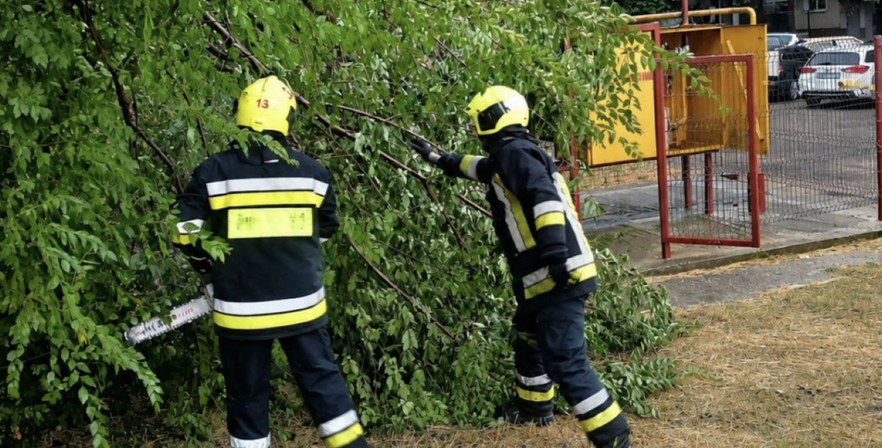 Непогода в Молдове: спасатели ГИЧС расчищали дороги и убирали поваленные деревья.