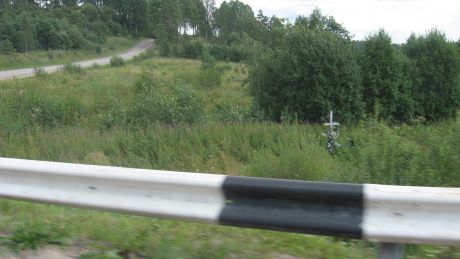 Наибольшее количество крестов установлено на обочинах улиц сектора Ботаника.