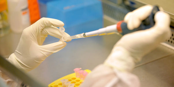 Primul caz de îmbolnăvire cu A(H1N1), înregistrat în Capitală. Foto: mediafax.ro