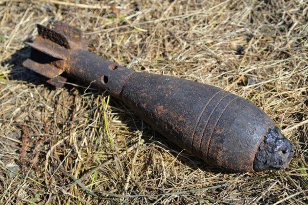 Двое жителей Дубоссар нашли учебную мину.