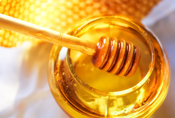 10 apicultori vor produce miere ecologică