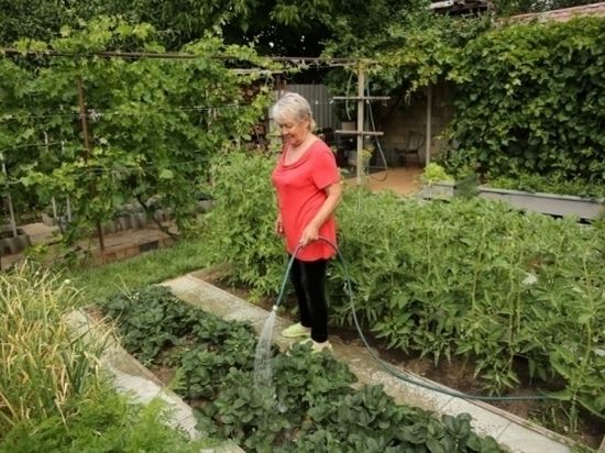 В Молдове прогнозируется бум приусадебного огородничества.