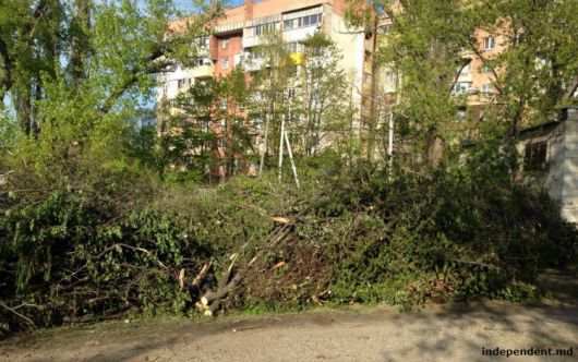 Locuitorii din preajma depozitelor de crengi din Capitală, alarmaţi