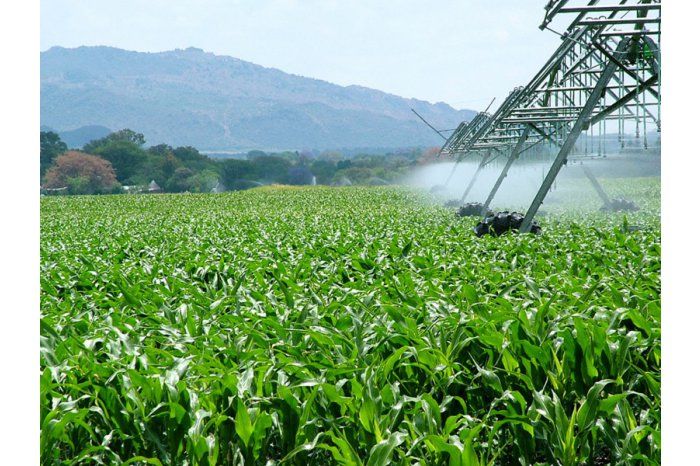 Program pentru susţinerea agriculturii, implimentat în Moldova