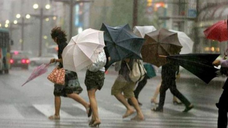 Meteorologii au prelungit Codul Galben de vânt pentru data de 10 și 11 noiembrie. Foto: pentrutimisoara.ro