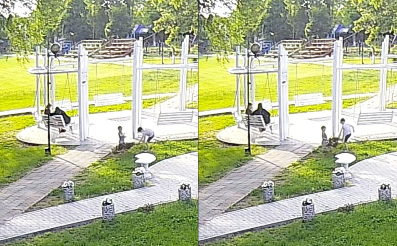 Un copil a rupt un copac de sakura din Parcul Sculeni: Primăria cere părinților să intervină.
