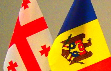Дискуссии охватили широкий круг вопросов, связанных с молдавско-грузинскими отношениями.