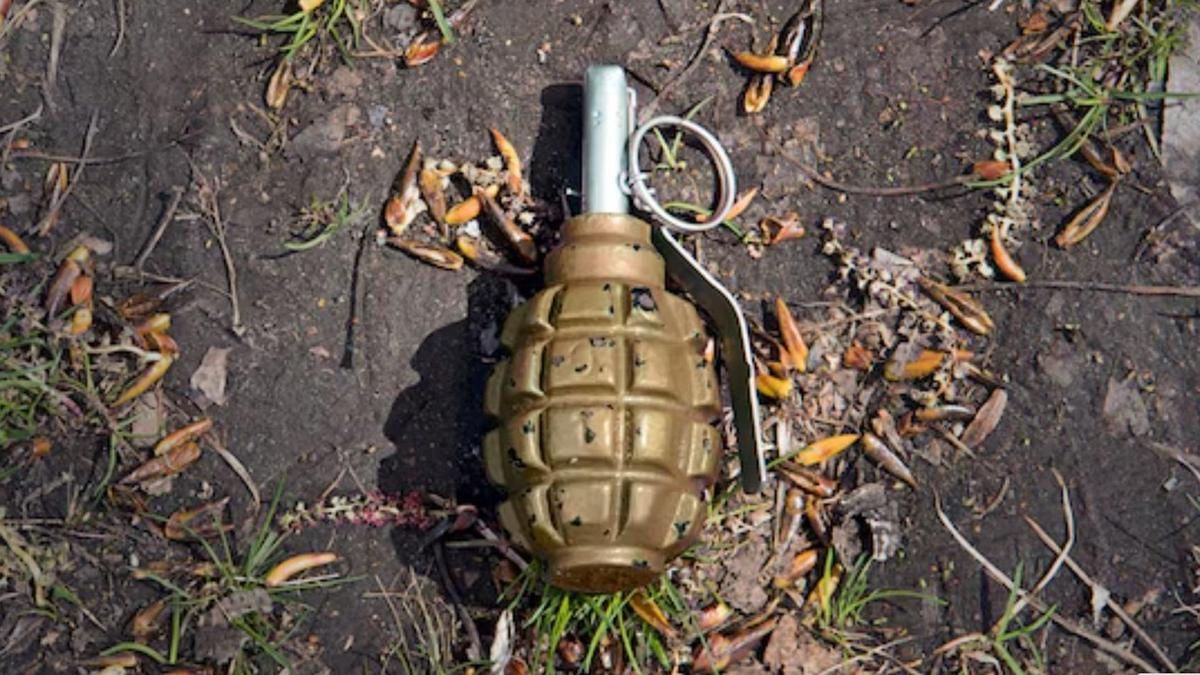 В Кишиневе на мусорной площадке нашли гранату F-1.