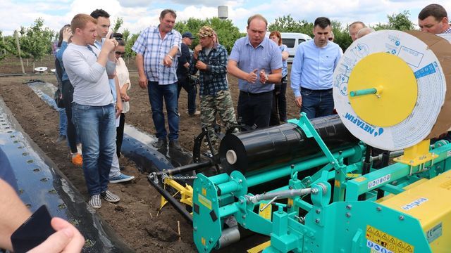 Satul cu 100 de agricultori, care au exportat în acest an 650 t căpșune