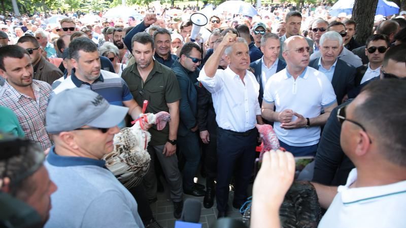 Директор винзавода Mileștii Mici, бросавший индеек у президентуры, подал в отставку.