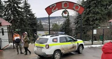 Сотрудник зоопарка, на которого напал тигр, вышел из комы.