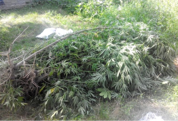 Сейчас на подозреваемых заведено уголовное дело.