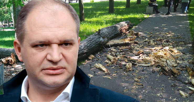 Чебан: У нас в городе тысячи деревьев, которые срочно нуждаются в вырубке. Коллаж: Point.md