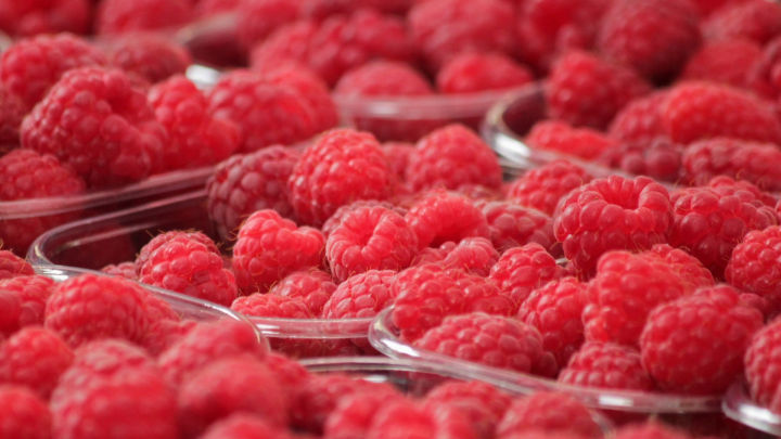 Agricultorii au început recoltarea zmeurei. Cât costă un kilogram. Foto simbol: pexels.com