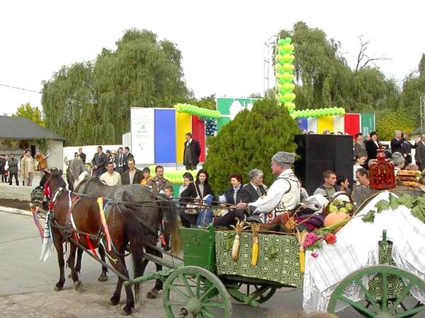 Comisariatul General de Poliţie face un apel către locuitorii oraşului şi oaspeţii acestuia. Foto: bogheanalina.wordpress.com