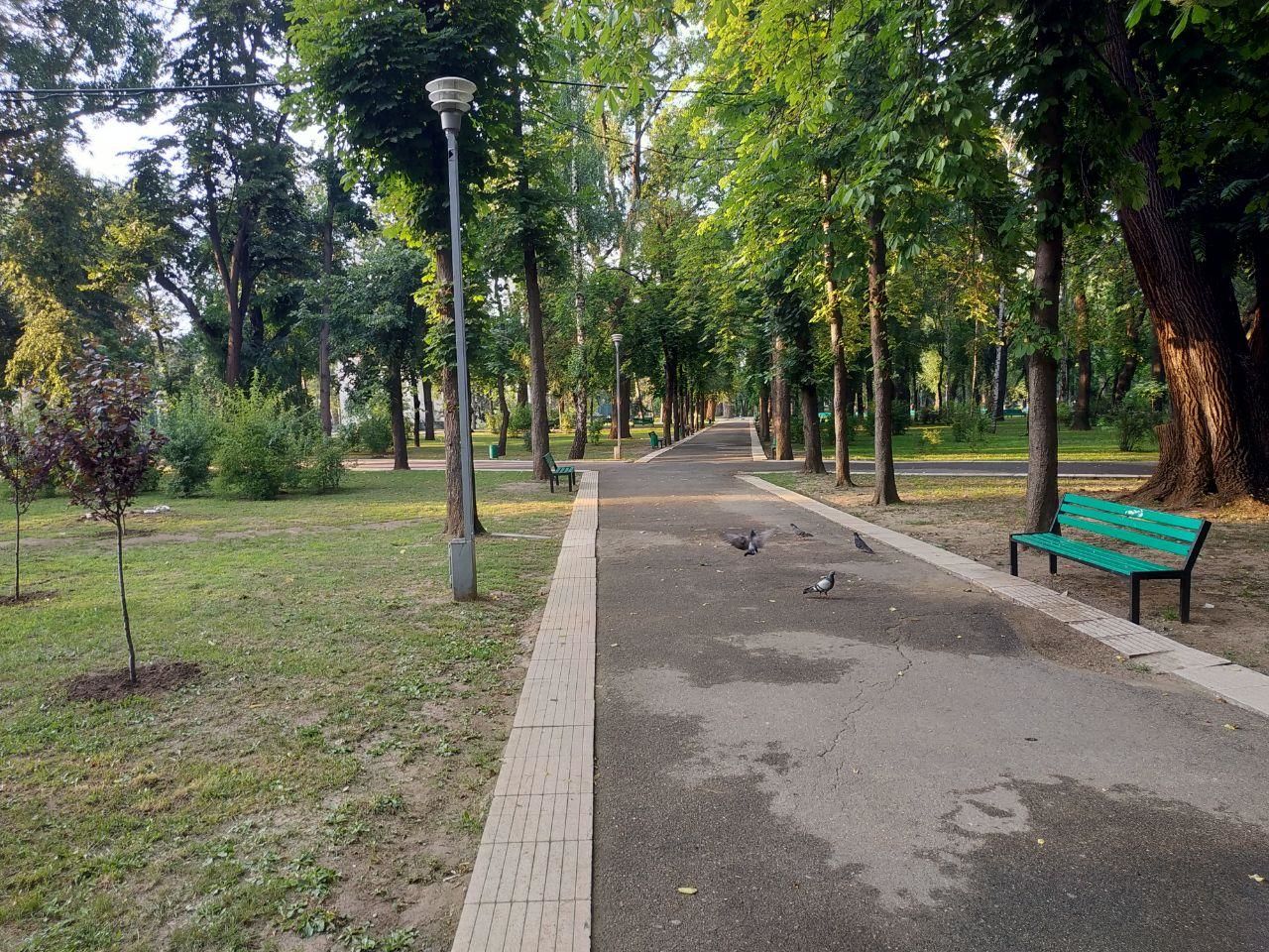 Столичные власти обещают тщательно дезинфицировать скамейки в парках.