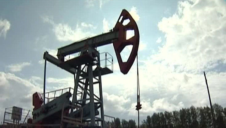 Дрэгуцану указал на высокую волатильность цен на нефть.