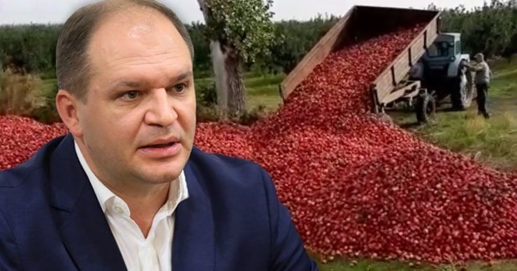 Мэрия заключит контракты с фермерами, чтобы яблоки попали на стол детям. Коллаж: Point.md.